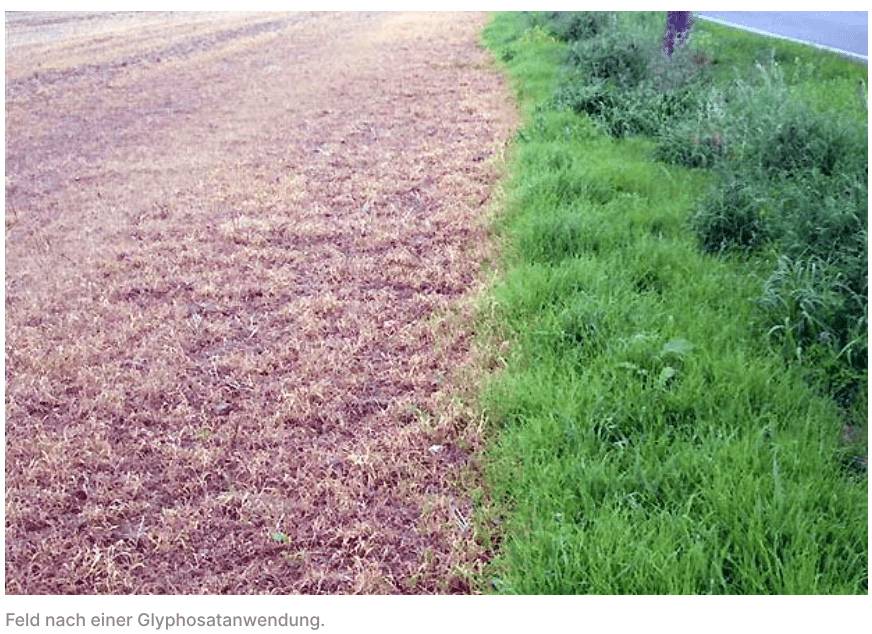 Luomu ruoka glyfosaatti Saksa