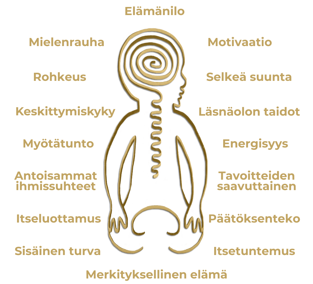 hyvinvointi-blogi (info)